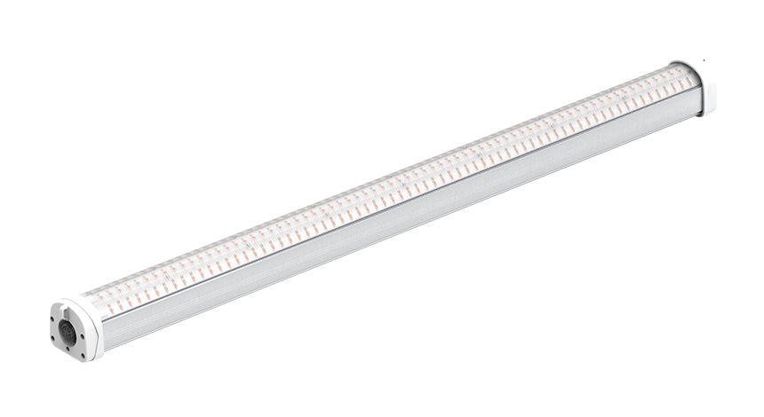 LED Grow Light-GL01